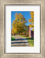 Framed Road beside Classic Farm in Autumn, New Hampshire