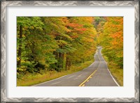 Framed Roadway through White Mountain National Forest, New Hampshire