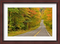Framed Roadway through White Mountain National Forest, New Hampshire