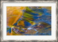 Framed Fall Reflections in Stream, White Mountain National Forest, New Hampshire