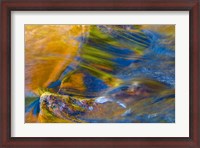 Framed Fall Reflections in Stream, White Mountain National Forest, New Hampshire