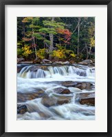 Framed Lower Swift River Falls, White Mountains, New Hampshire