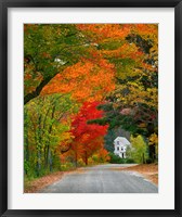 Framed Road lined in fall color, Andover, New England, New Hampshire