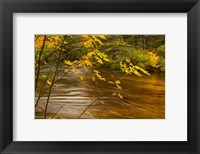 Framed New Hampshire, White Mountain National Forest River