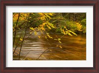 Framed New Hampshire, White Mountain National Forest River