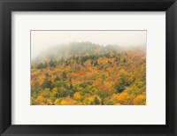 Framed New Hampshire, White Mountain National Forest, Autumn