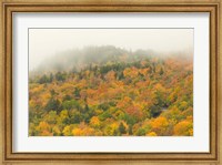 Framed New Hampshire, White Mountain National Forest, Autumn