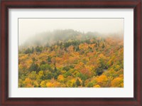Framed New Hampshire, White Mountain National Forest, Autumn