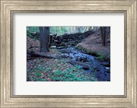 Framed Banks of Lamprey River, National Wild and Scenic River, New Hampshire