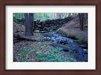 Framed Banks of Lamprey River, National Wild and Scenic River, New Hampshire