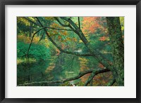 Framed Fall Along the Lamprey River in Durham, New Hampshire