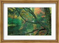 Framed Fall Along the Lamprey River in Durham, New Hampshire