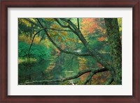 Framed Fall Along the Lamprey River in Durham, New Hampshire