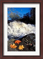 Framed Maple Leaves and Wadleigh Falls on the Lamprey River, New Hampshire
