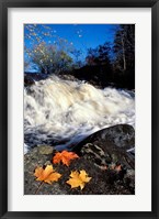 Framed Maple Leaves and Wadleigh Falls on the Lamprey River, New Hampshire