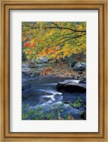 Framed Packers Falls on the Lamprey River, New Hampshire