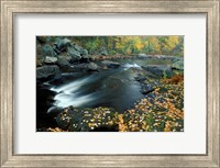 Framed Autumn Leaves at Packers Falls on the Lamprey River, New Hampshire