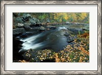 Framed Autumn Leaves at Packers Falls on the Lamprey River, New Hampshire