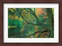 Framed Fall on the Lamprey River below Wiswall Dam, New Hampshire