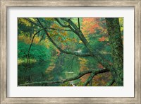 Framed Fall on the Lamprey River below Wiswall Dam, New Hampshire