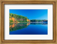 Framed White Pines and Hardwoods, Meadow Lake, New Hampshire