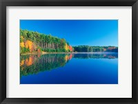 Framed White Pines and Hardwoods, Meadow Lake, New Hampshire