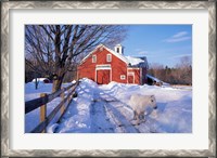 Framed Pony and Barn near the Lamprey River in Winter, New Hampshire