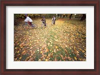 Framed Riding Bikes in Late Fall, New Hampshire