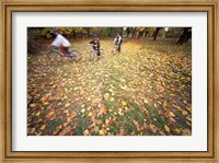 Framed Riding Bikes in Late Fall, New Hampshire