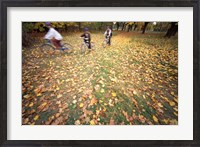 Framed Riding Bikes in Late Fall, New Hampshire