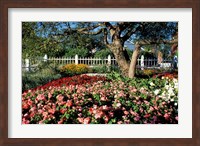 Framed Prescott Park, New Hampshire