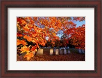 Framed Fall Morning in a Portsmouth Cemetary, New Hampshire
