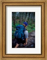 Framed Backpacking on Franconia Ridge Trail, Boreal Forest, New Hampshire