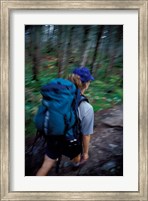 Framed Backpacking on Franconia Ridge Trail, Boreal Forest, New Hampshire