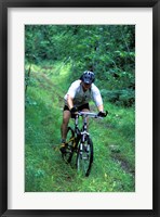 Framed Mountain Biking on Providence Pond Loop Trail, White Mountain National Forest, New Hampshire