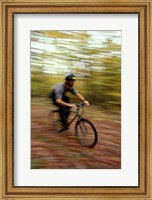 Framed Mountain Biking, Old Logging Road, New Hampshire