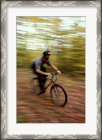 Framed Mountain Biking, Old Logging Road, New Hampshire