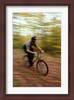 Framed Mountain Biking, Old Logging Road, New Hampshire