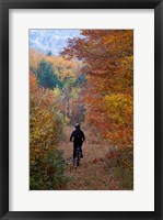 Framed Mountain Biking on Old Logging Road, New Hampshire