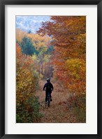 Framed Mountain Biking on Old Logging Road, New Hampshire