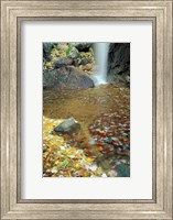 Framed Pitcher Falls in White Mountains, New Hampshire