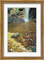 Framed Pitcher Falls in White Mountains, New Hampshire