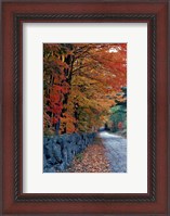 Framed Fall Colors in the White Mountains, New Hampshire