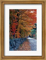 Framed Fall Colors in the White Mountains, New Hampshire