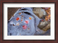 Framed Leaves Swirl in Zealand Falls, Appalachian Trail, White Mountains, New Hampshire