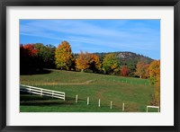 Framed Horse Farm in New England, New Hampshire