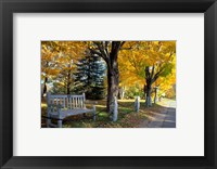 Framed Fall in New England, New Hampshire