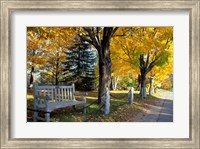 Framed Fall in New England, New Hampshire