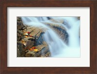 Framed Pearl Cascade on the Avalon Trail, New Hampshire