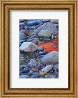 Framed Fall Colors Reflect in Saco River, New Hampshire